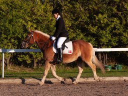IMG_7575_web